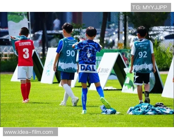 探索对脑袋足球的魅力与技巧提升之路，让我们一起享受这项独特运动的乐趣